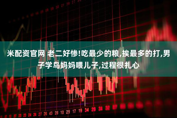 米配资官网 老二好惨!吃最少的粮,挨最多的打,男子学鸟妈妈喂儿子,过程很扎心
