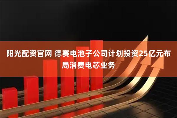 阳光配资官网 德赛电池子公司计划投资25亿元布局消费电芯业务